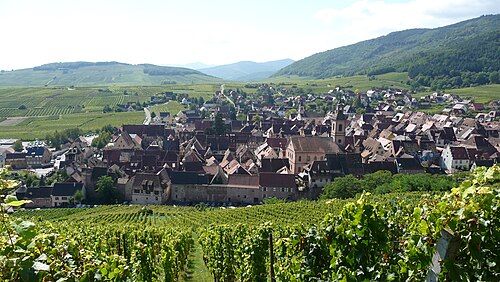 Les toits de Riquewihr entourés de vignes, devant les collines des Vosges