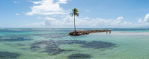 Plage du bourg de Sainte-Anne, en Guadeloupe, avec un cocotier sur un îlot